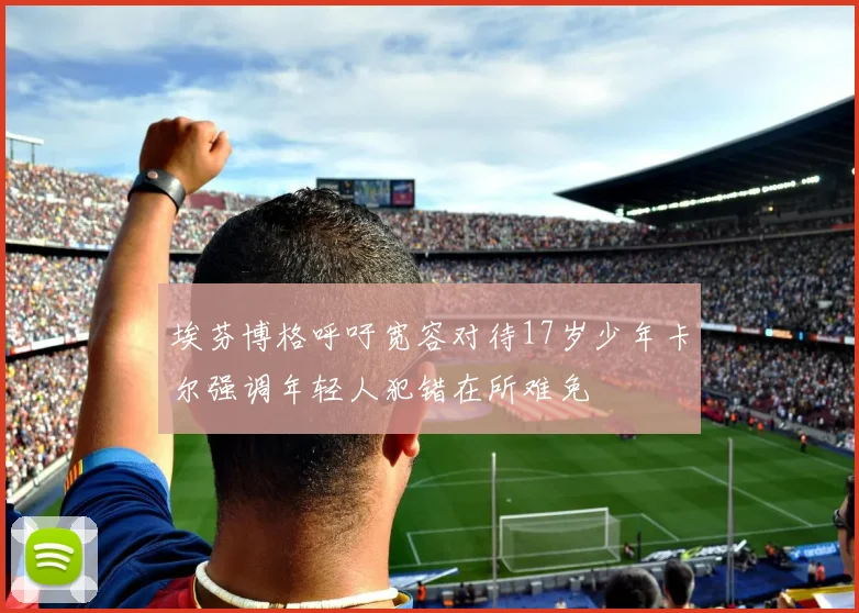 埃芬博格呼吁宽容对待17岁少年卡尔强调年轻人犯错在所难免