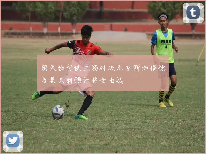 明天独行侠主场对决尼克斯加福德与莱夫利预计将会出战
