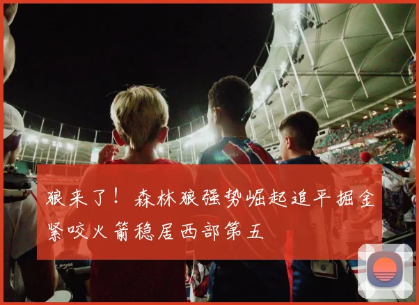 狼来了！森林狼强势崛起追平掘金紧咬火箭稳居西部第五
