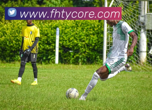 凤凰体育服务体系